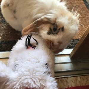 Meet your Posher, Brianna